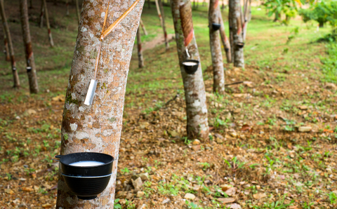 Natural Rubber Pacifier