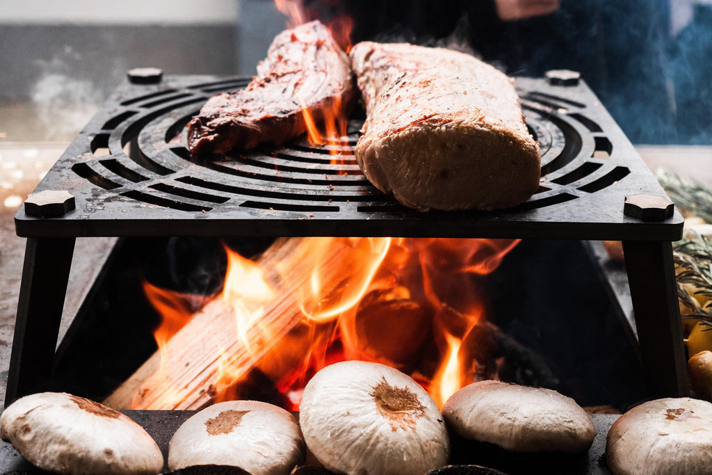 Robijn begin segment Vulcanus Pro 910 Chef Outdoor Wood Fire Grill – Nuovo Luxury
