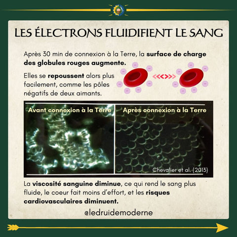 les pouvoirs de la terre le druide moderne