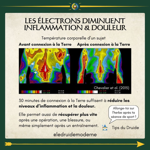 les pouvoirs de la terre le druide moderne