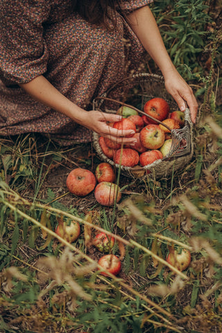 pomme à la terre