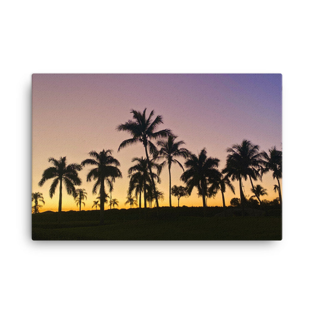 Lavender Palms