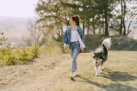Girl walking a dog