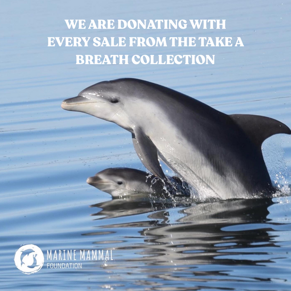 Yogi Peace club donation to dolphins