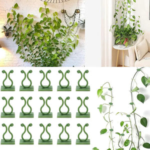 10/30/50Pcs Plant Climbing Wall Fixture Clips Rattan Vine Fixer Self-Adhesive Hook Invisible Garden Binding Clip Wall StickyClip - Pets N Plants