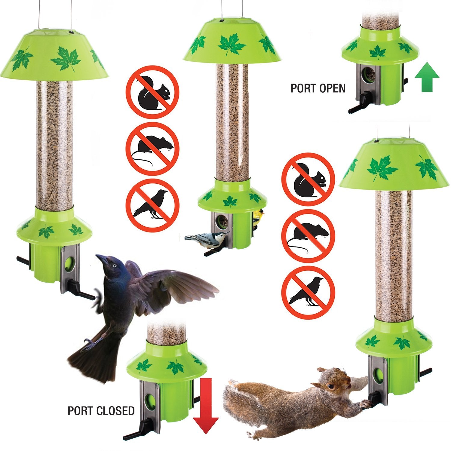 Roamwild Pestoff Mixed Seed Squirrel Proof Bird Feeder Maple