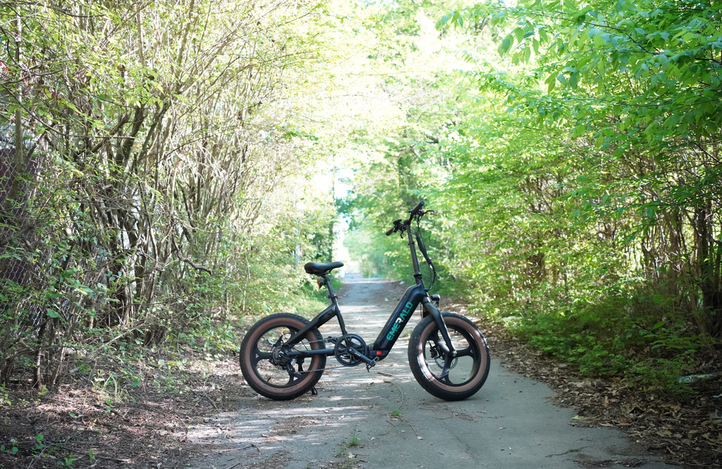 Emerald Ebike at the head of a mountain trail