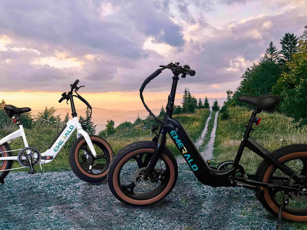 Two Emerald Ebikes parked on a mountain.