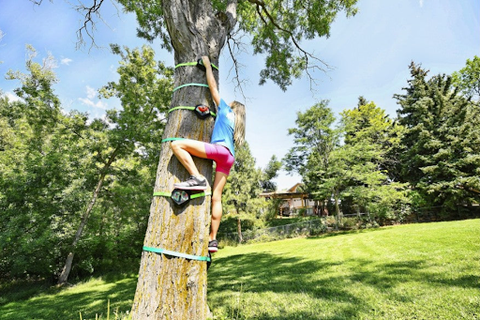 tree climbing kit