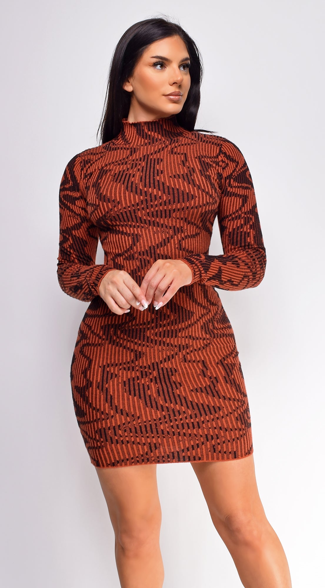 Alvena Rust Brown Wave Print High Neck Mini Dress