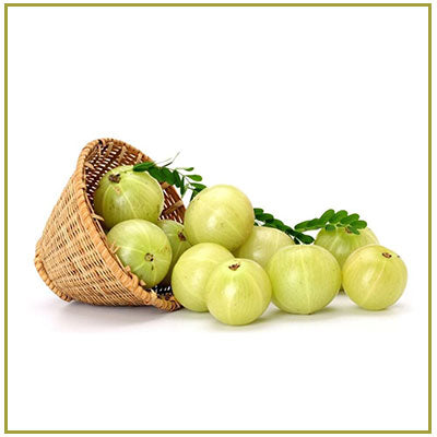 Amla