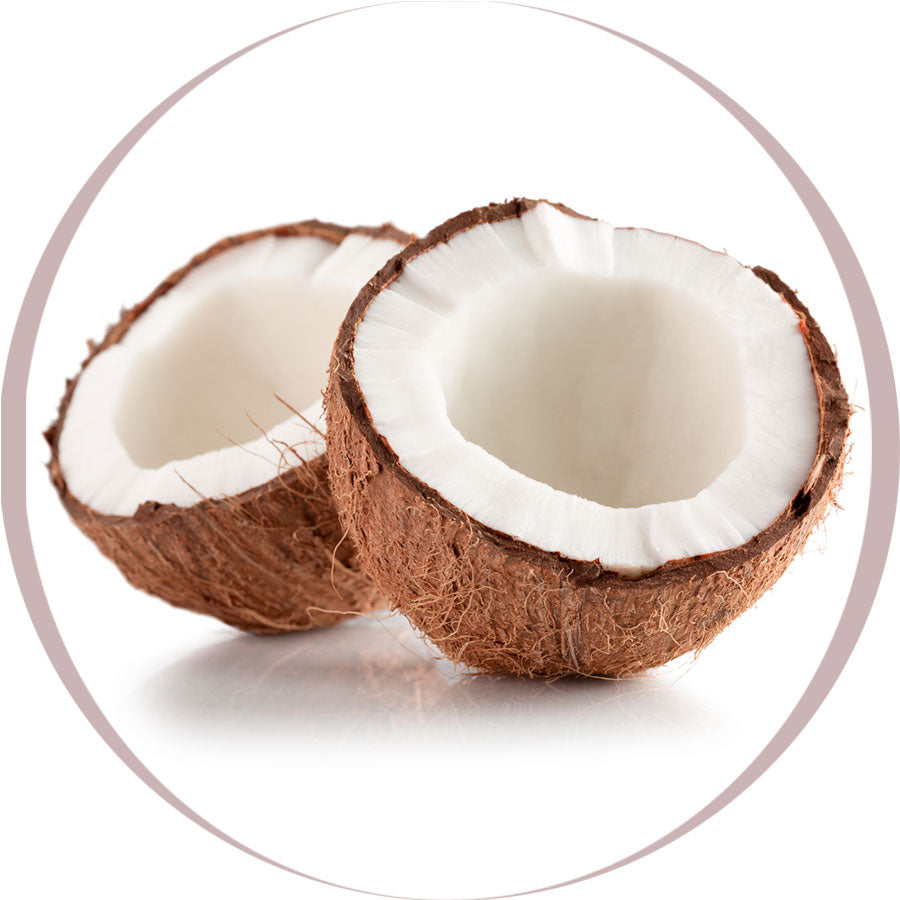 Coconut