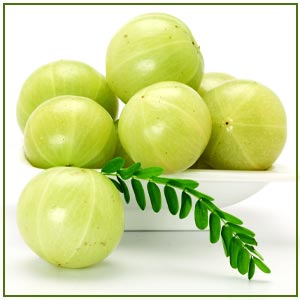 Amla