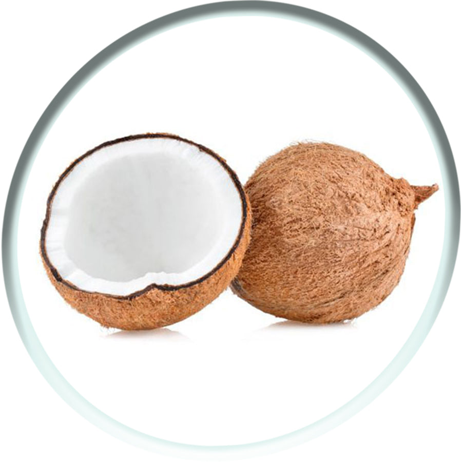 CoconutCoconut