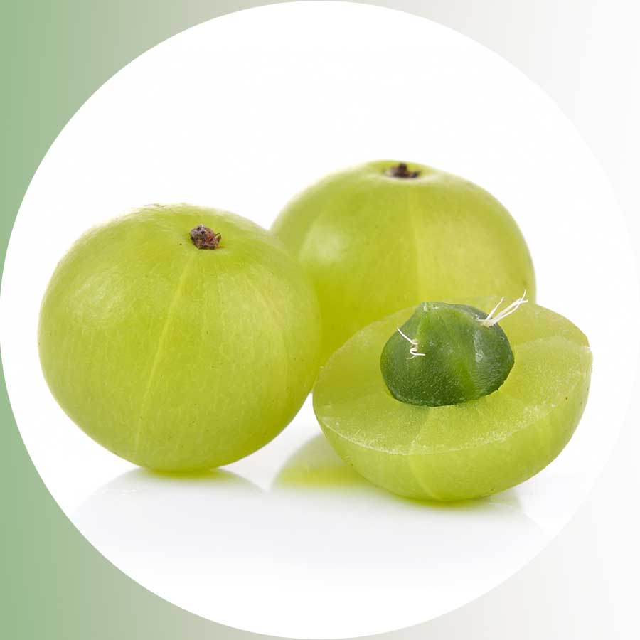 Amla