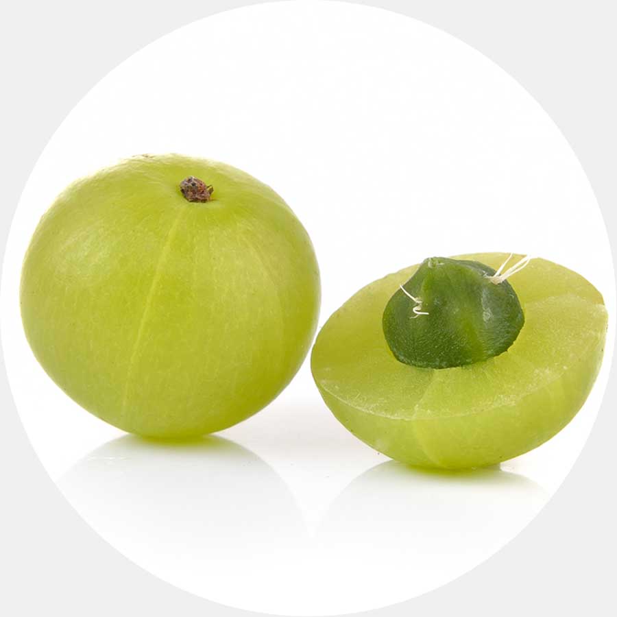 Amla