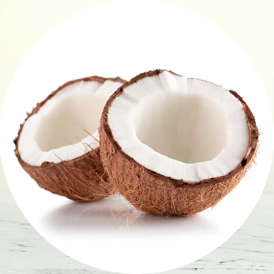 Coconut