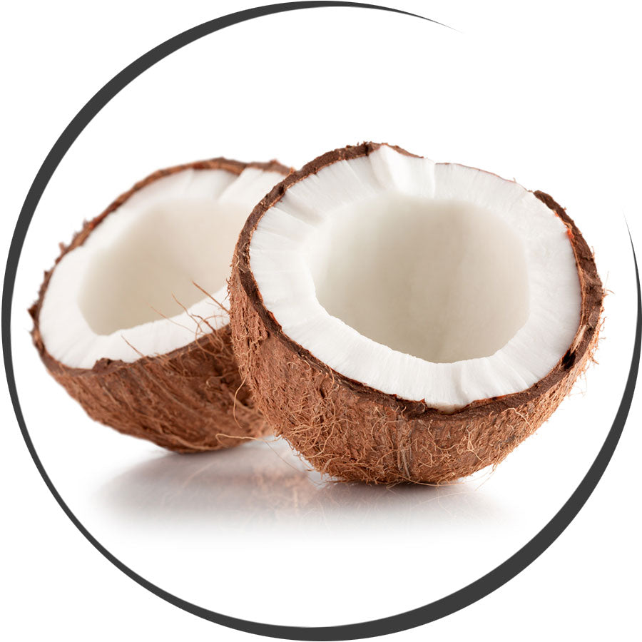 Coconut