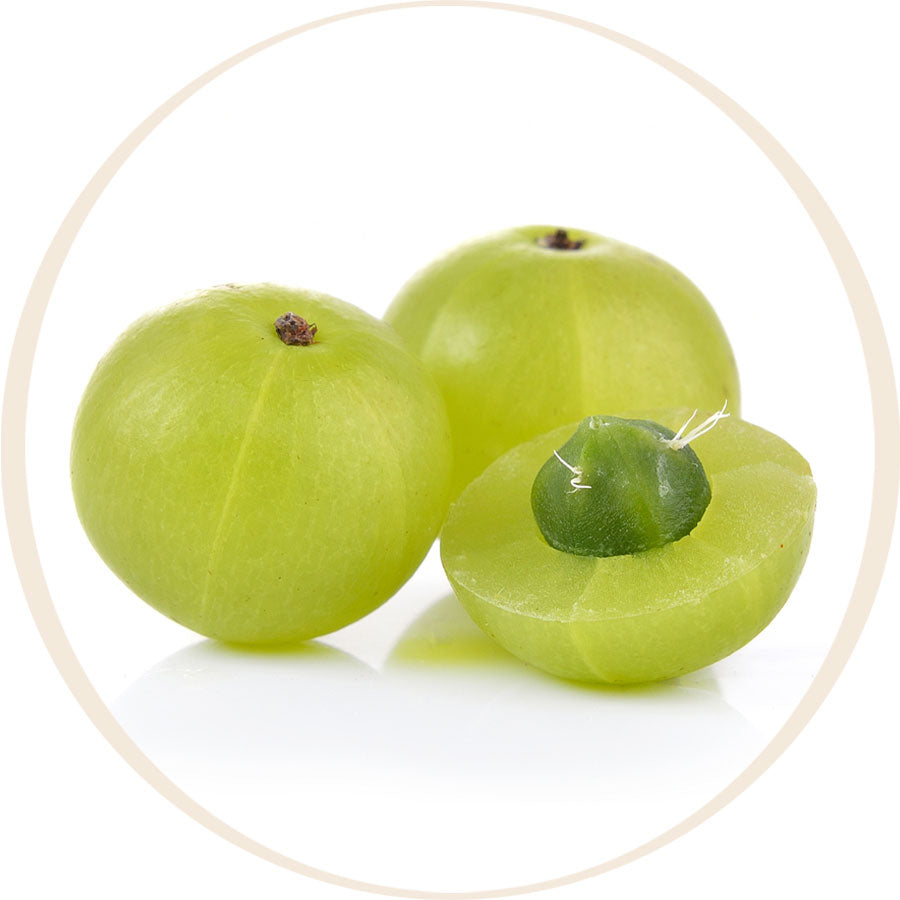 Amla