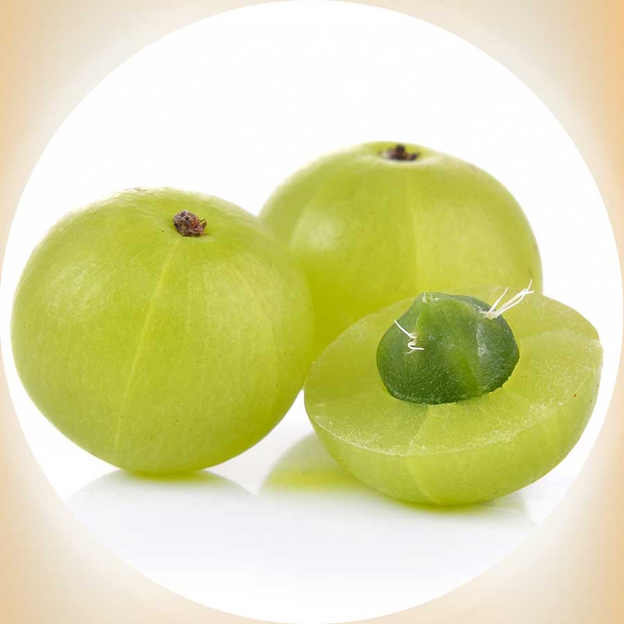 Amla