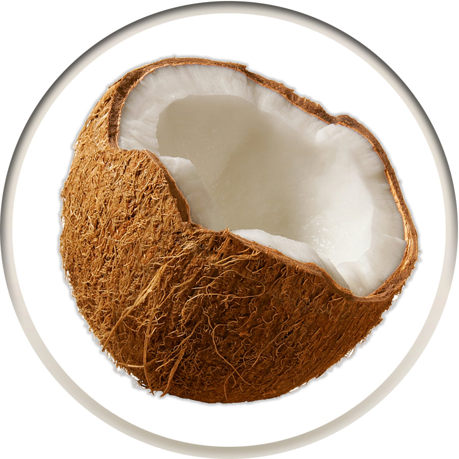 Coconut