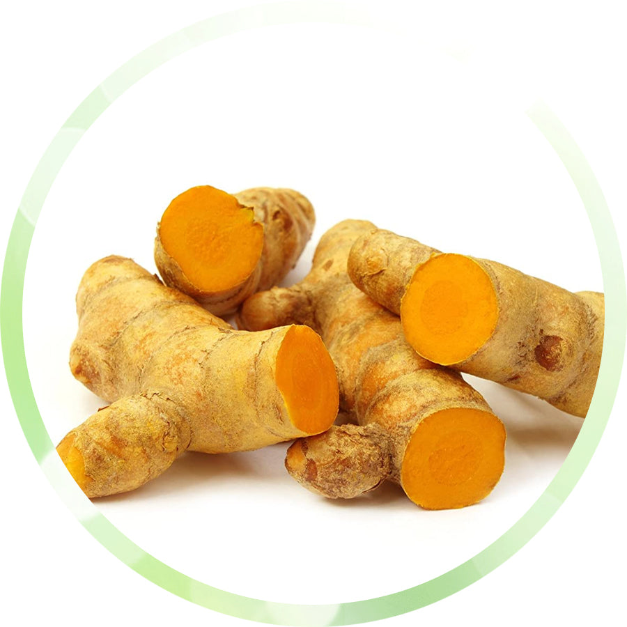 Turmeric