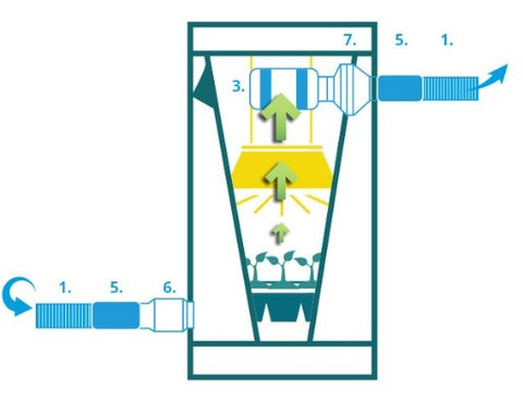 cannabis air position