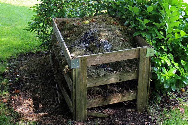 Huge backyard compost pile