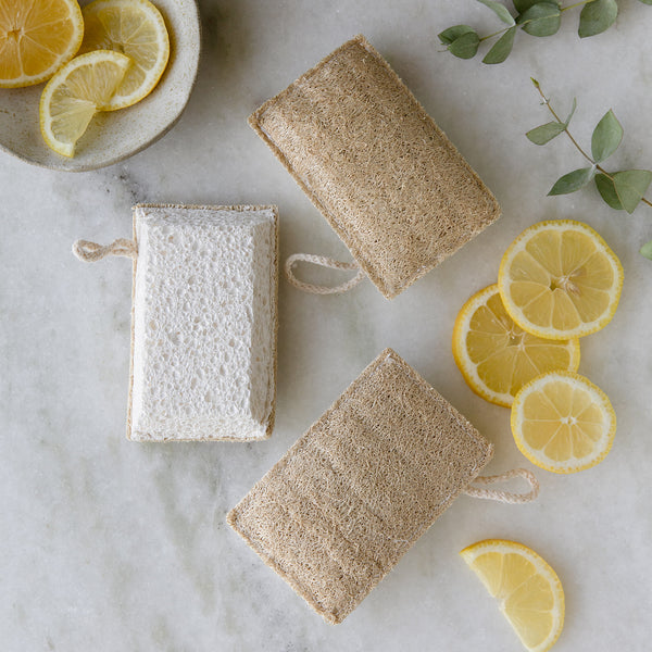 plastic free dish sponge