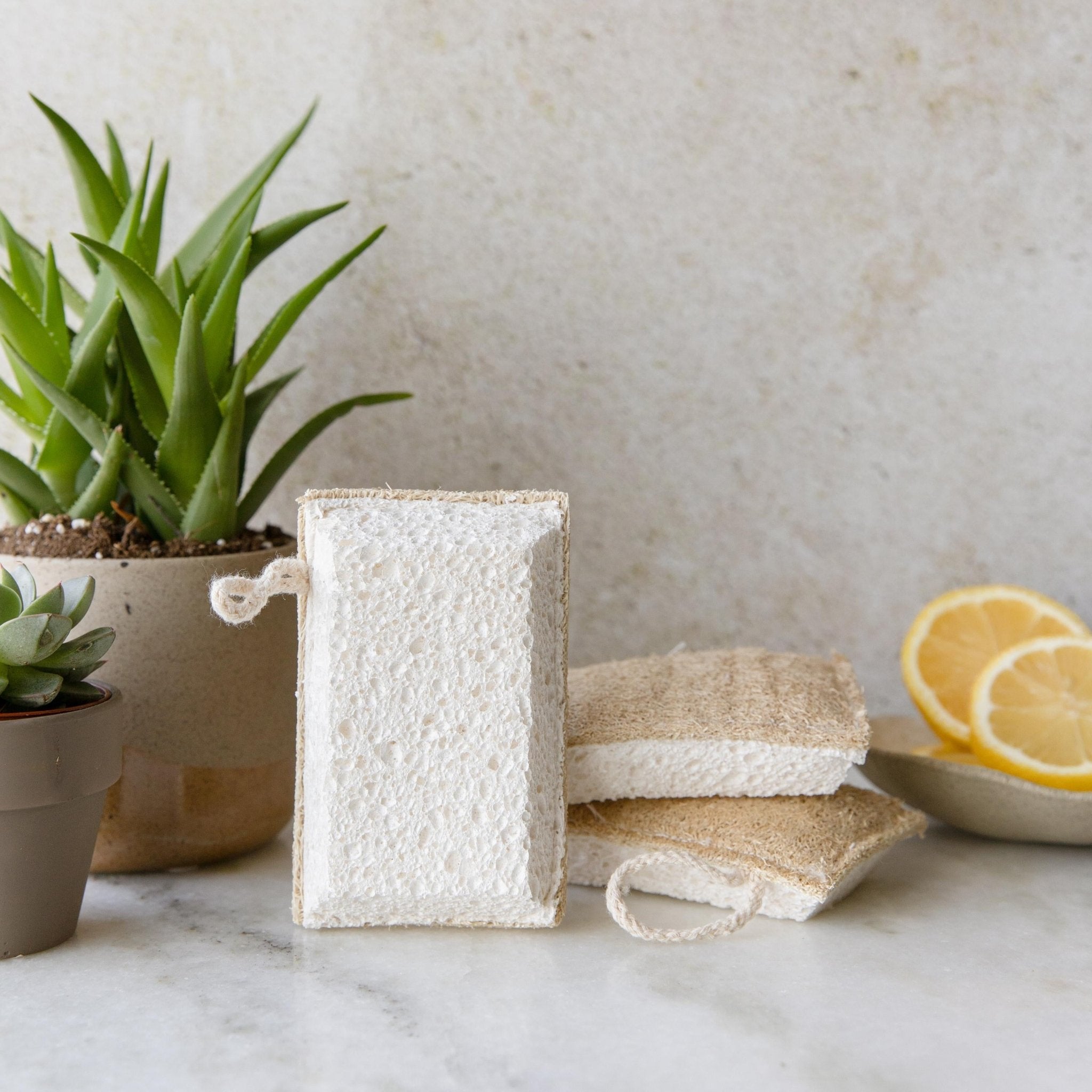 Eco Dish Sponge 3-Pack – The Unwaste Shop