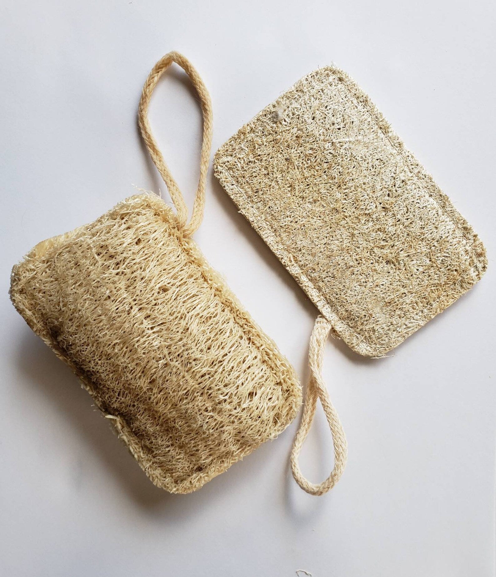 Compostable Eco Dish Sponge 3-Pack - Earth Ahead