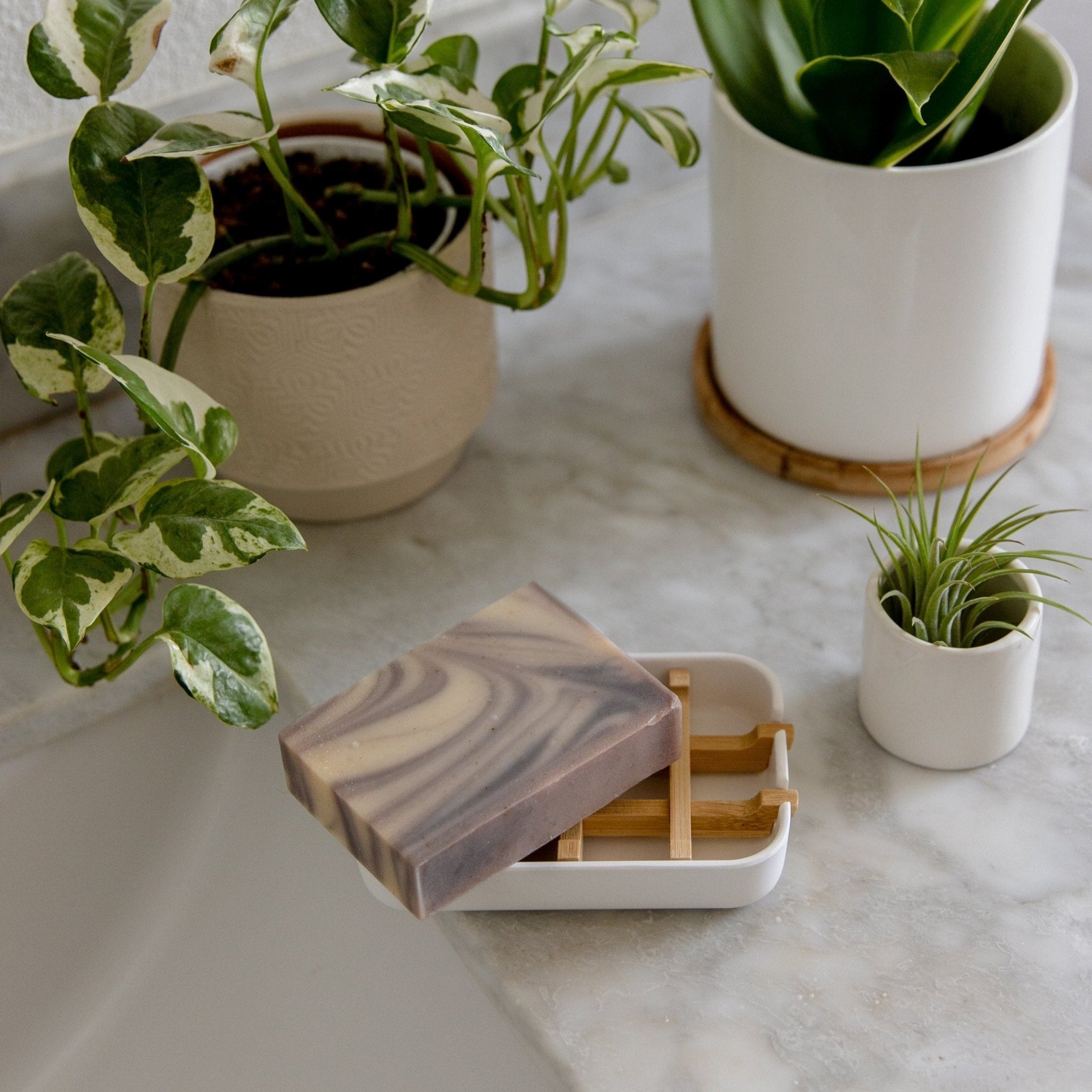 Rectangular Self-Draining Teak Wood Soap Dish from Guatemala - Serenity