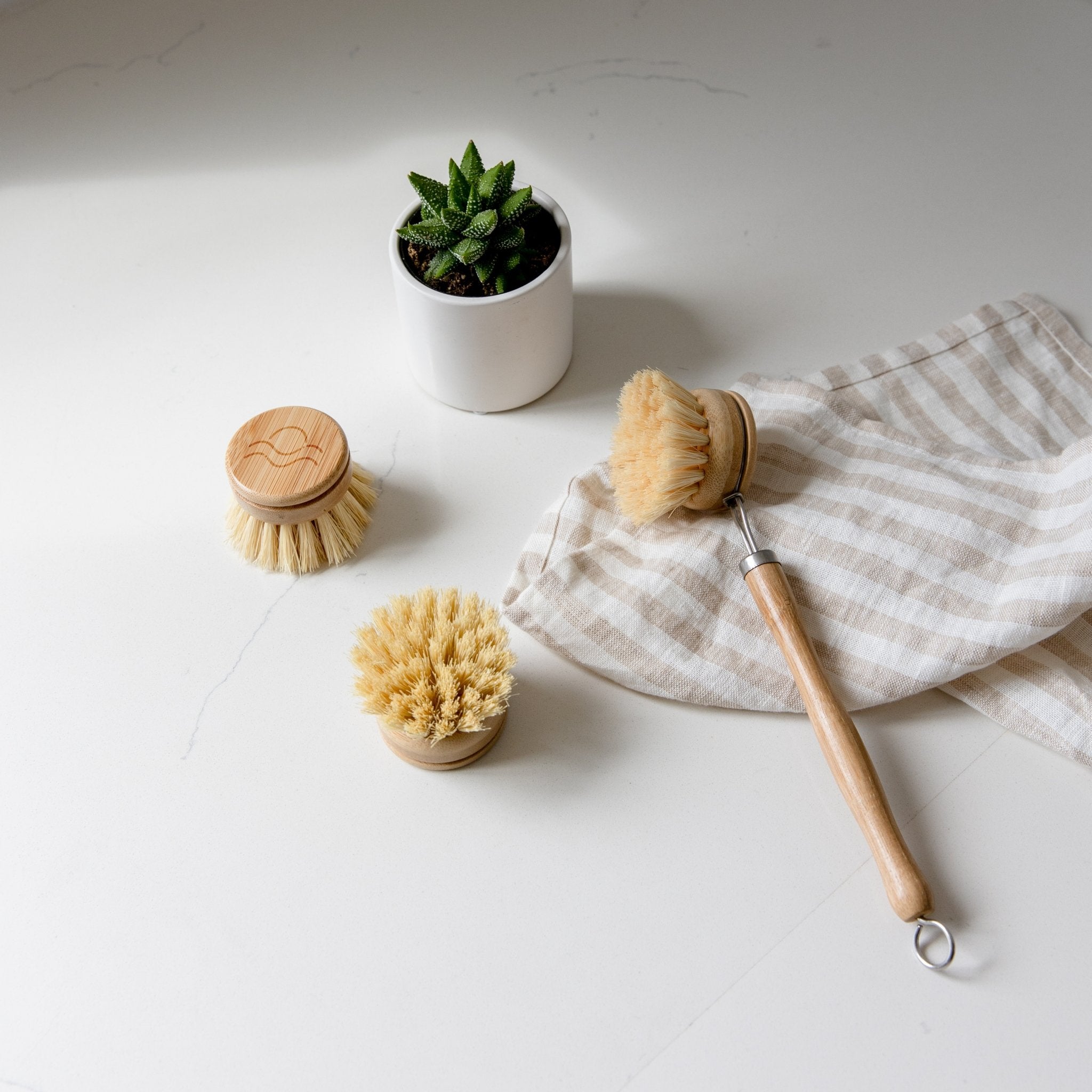 Sustainable Kitchen Bundle: Solid Dish Soap, Waterfall Soap Dish, Sisal  Cleaning Brush, Pot Scrubber