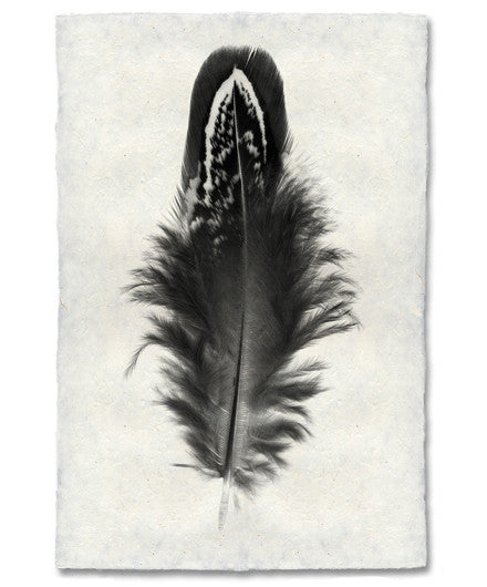 Roy Barloga Fluffy Feather Print Study 3 | SHOP NECTAR