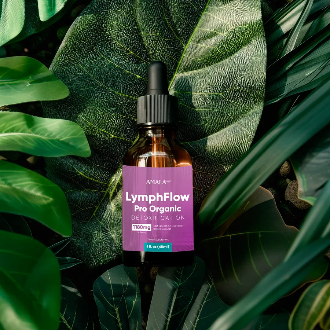 Section 03.webp__PID:eba5a15d-7dd3-4932-aa86-9c2959636619