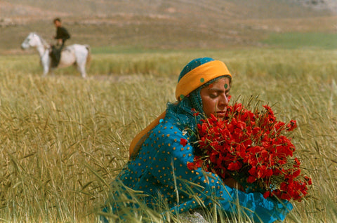 the 1996 Iranian film Gabbeh