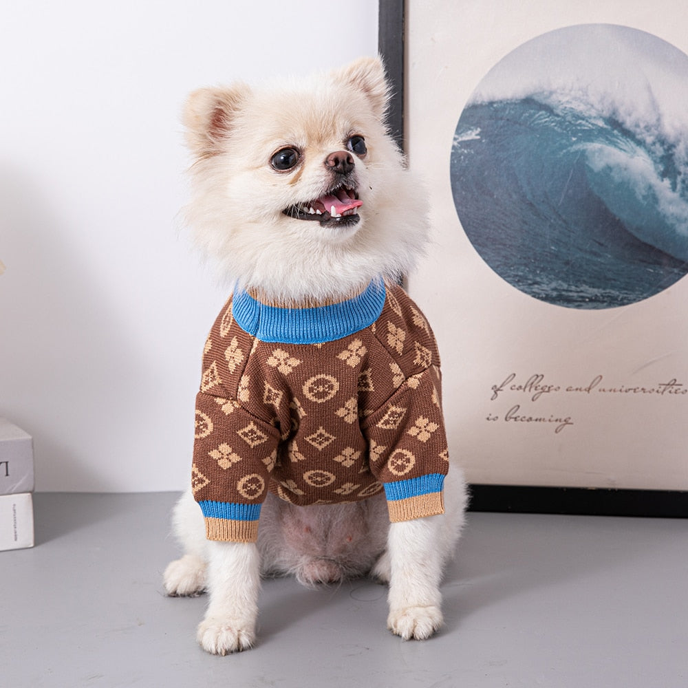 Louis Pup Made Knit Sweater, Paws Circle