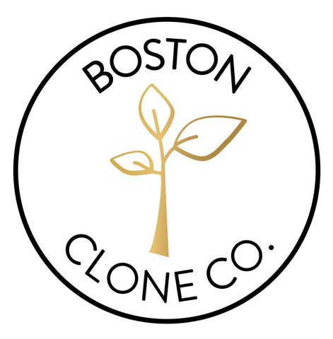 Boston Clones Co Logo