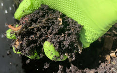 regenerative cannabis garden compost