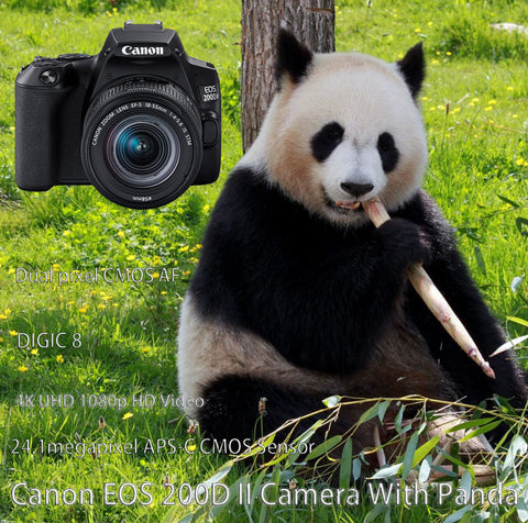 Canon 200d II With Panda
