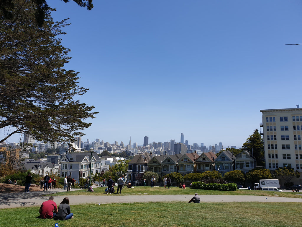 People sitting on grass in Alamo Square, looking at the Painted Ladies and city skyline beyond.