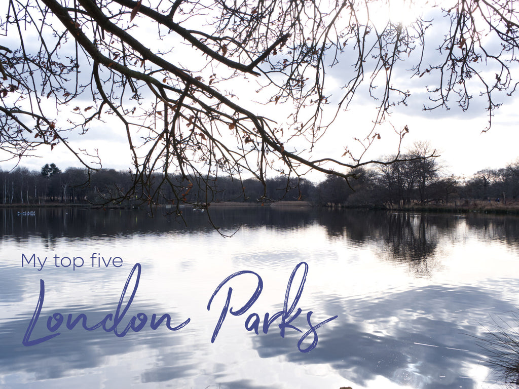 A wintery Richmond Park with lake reflections. Text reads My Top 5 London Parks.