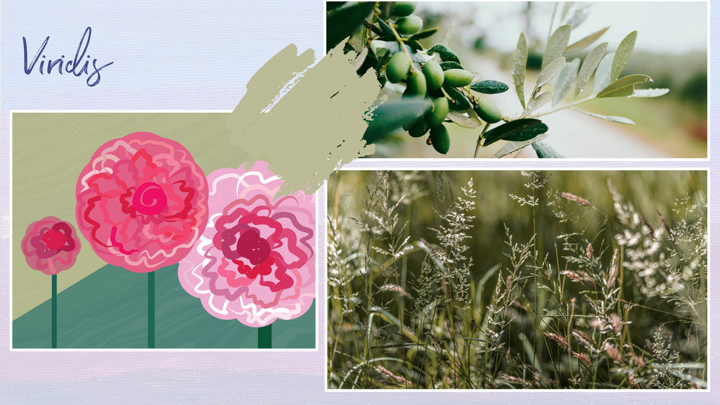 Visual moodboard for Viridis with art and greenery images
