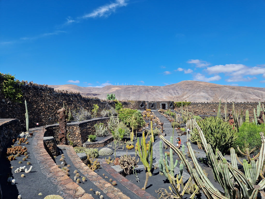 Terraced area of Jardin de Cactus with mountain beyond the garden walls.