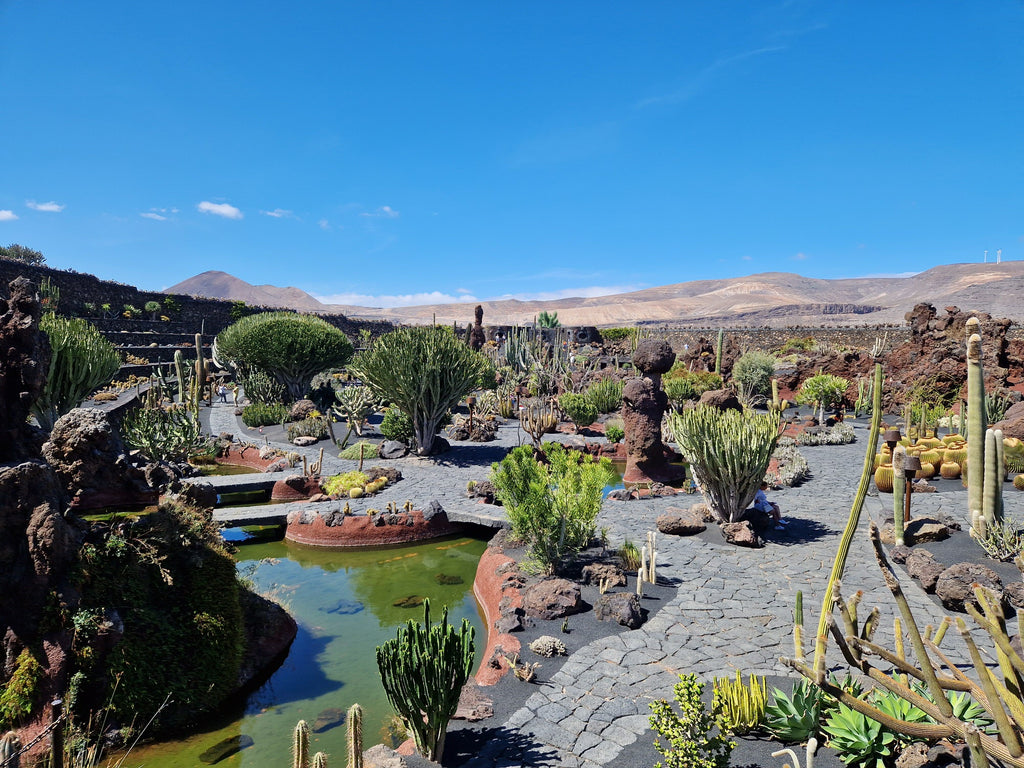 View over Jardin de Cactus with mountains in the background