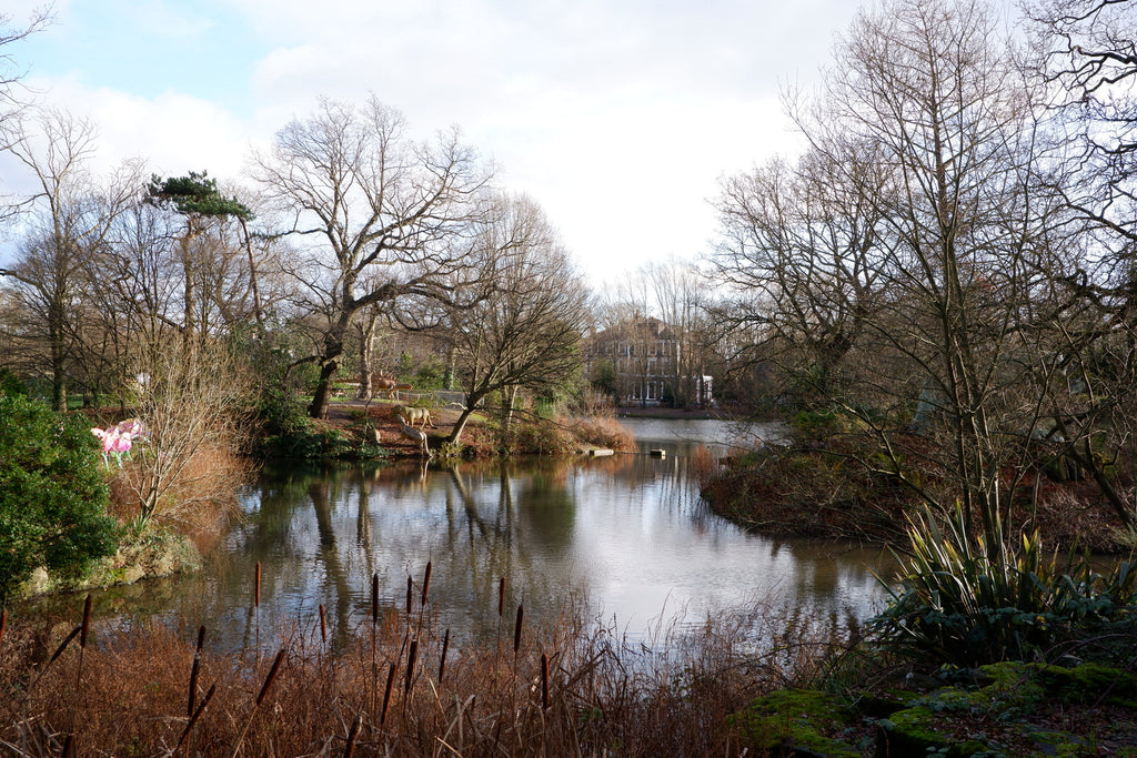 Crystal-Palace-Park-Lake-with-Dinosaurs-in-Winter