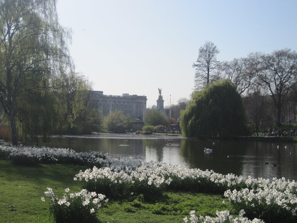 St-James-Park-London-with-view-of-Buckingham-Palace