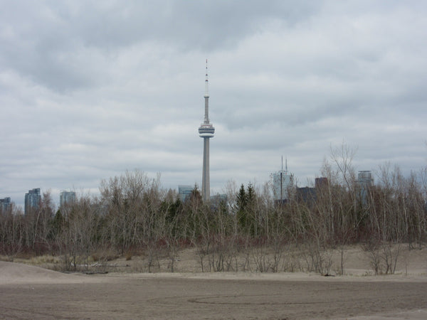 Toronto-Islands-View-of-Skyline-from-Beach