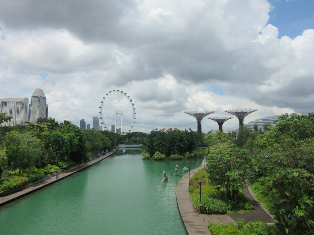 Looking down the lake in Gardens by the Bay with Singapore flyer and supertrees on horizon.