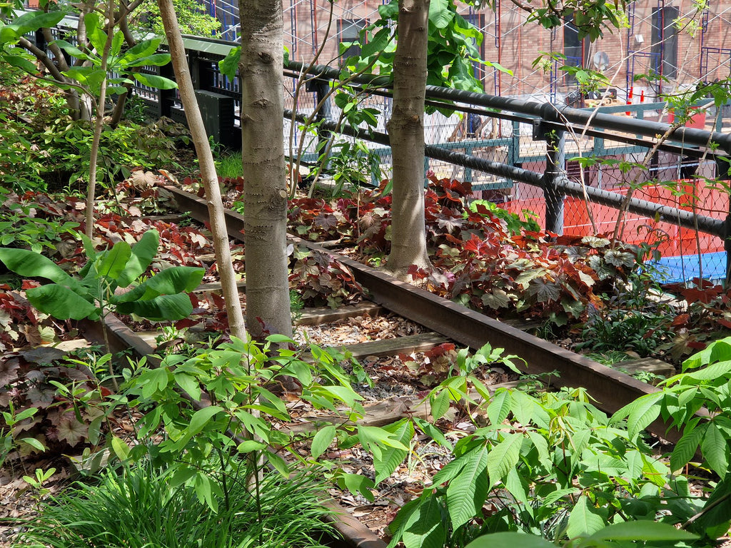 NYC Planting along the HighLine